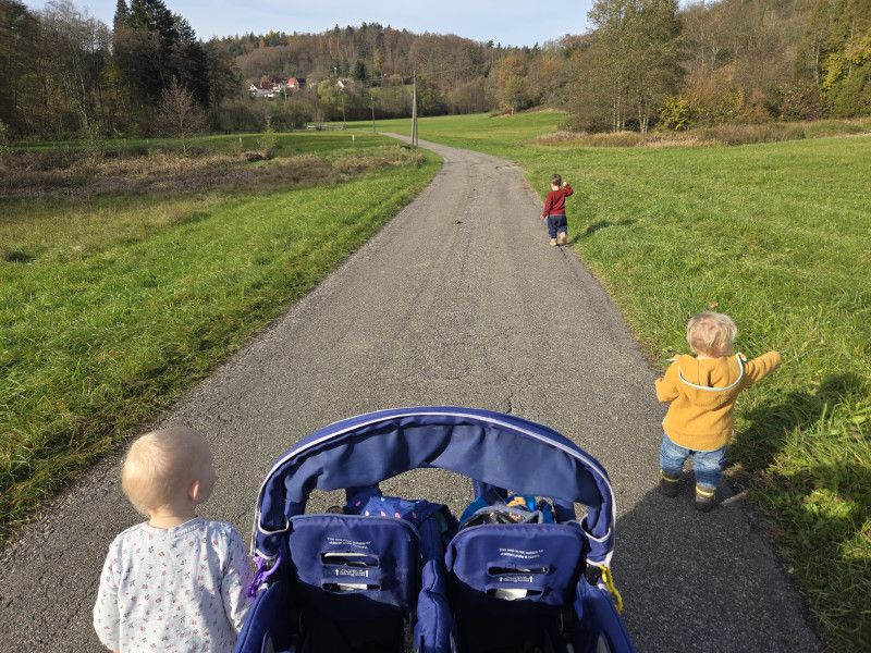 Spaziergang mit 4er Buggy